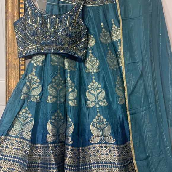 Pure banarsi silk lengha with hand embroidery blouse - Picture 9 of 10